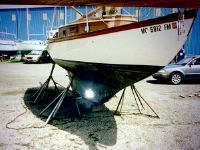 Cheoy Lee Frisco Flyer