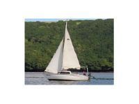 Other / Sonstige Sailfish 18