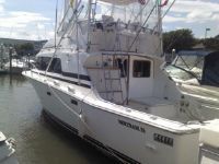 Bertram 33 Sportfisher Ii