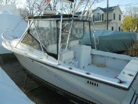 Shamrock Grand Slam Pb  Diesel