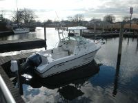 Sea Swirl Striper 2101 Walkaround