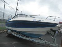 Wellcraft Runabouts Well Craft