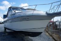 Cruiser's Inc 26 Holiday