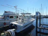 Pro Line 2950 Walkaround Cuddy