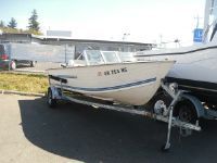 Blue Fin 18' Runabout