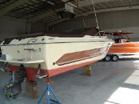 Sea Ray 25 Cuddy