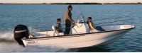 Boston Whaler Montauk 17