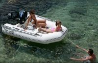 Zodiac Rib Cadet 290