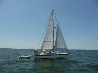 Dutch Flyer Best Deal!