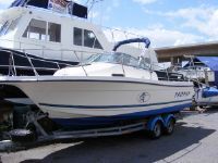 Bayliner Trophy Walkabout 2050