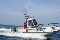 Boston Whaler 22 Gaurdian
