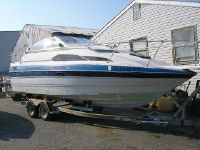 Bayliner 2450 Cierra Sunbridge