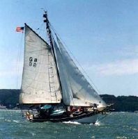 William Garden Bullfrog