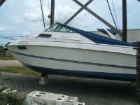 Wellcraft 23 Cuddy Cabin