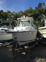 Seaswirl Striper Walkaround