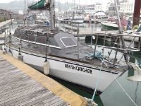 Naja 30 (Lowered)