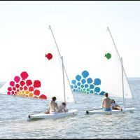 Laser Performance Sunfish 60Th Anniversary Red