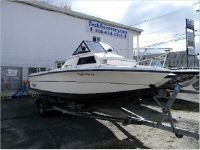 Angler Walkaround 204