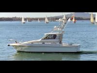 Custom Eclipse Tr-39