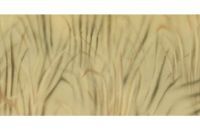 Tracker Grizzly 1860 Jon Boat