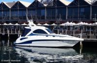 2009 Magnum 36 - All Luxury Boating Here!