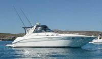 Searay 370 Sundancer ( 415 Equivalent)