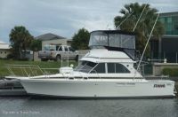 Bertram Caribbean 35