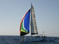 African Fastcats Fastcat 435