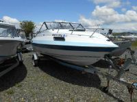 Sterling Boats Cuddy