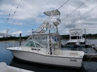 Carolina Classic (Diesel Power! Loaded!)