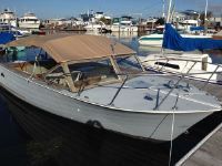 Cruiser's Inc Runabout