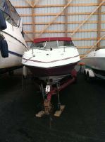 Four Winns 195 Freedom