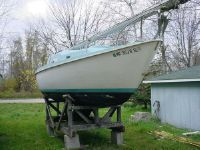 Peason P26