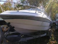 Raven Boatworks 250 Cuddy