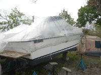 Regal 23 Cuddy Cabin