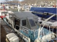 Vedette Hollandaise Doerak 950