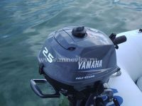 Yamaha F 2.5