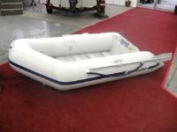 Mercury Inflatable 240 Roll Up