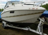 Wellcraft Suncruiser 225