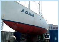 Adams Adam Proyecto