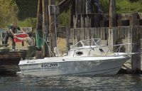 Campion Explorer 622 Walkaround