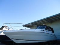 Sea Ray 36