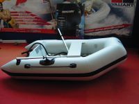 Quicksilver 240