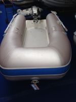 Quicksilver Rib 310