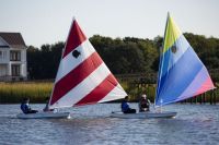 Lasersunfish