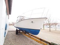 Jupiter 30 - Ny Motor