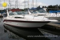 Sea Ray 29