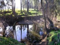 1968 Haslam 15M Steel Launch