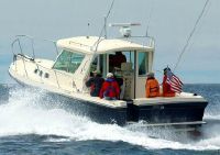 Albin 32 Tournament Express