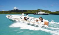 Novurania Chase 31